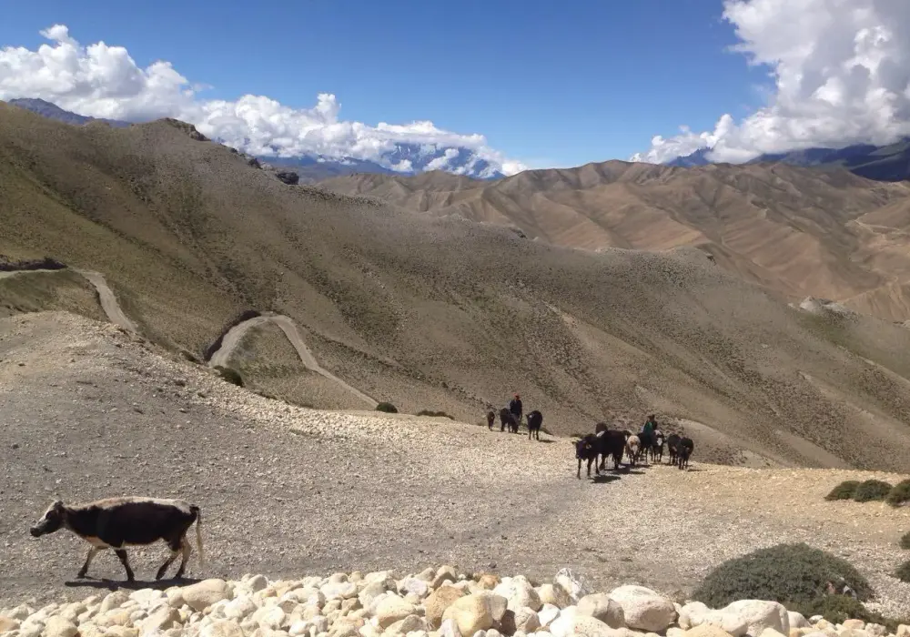 Kiedy jechać do Nepalu? Najlepszy czas na trekking i przygodę