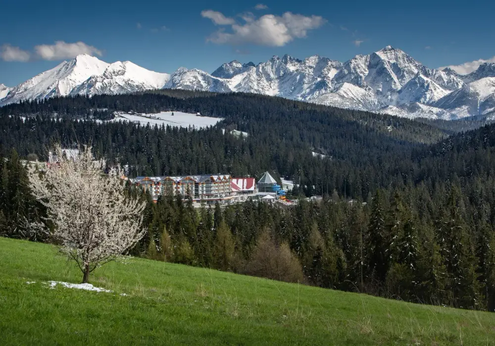 Hotel z termami w otoczeniu lasów TPN. Hotel BUKOVINA to wymarzone miejsce na urlop z rodziną lub we dwoje