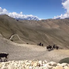 Kiedy jechać do Nepalu? Najlepszy czas na trekking i przygodę