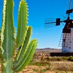 Fuerteventura najpiękniejsze miejsca, które musisz zobaczyć na wyspie