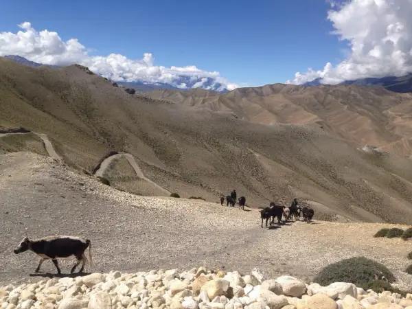 Kiedy jechać do Nepalu? Najlepszy czas na trekking i przygodę