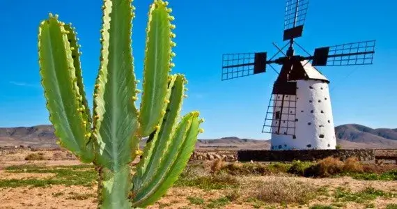 Fuerteventura najpiękniejsze miejsca, które musisz zobaczyć na wyspie